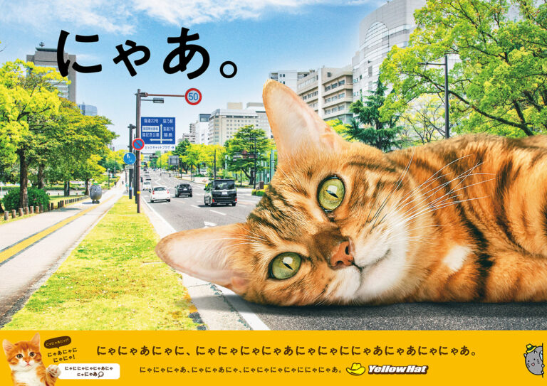 猫の日 2024